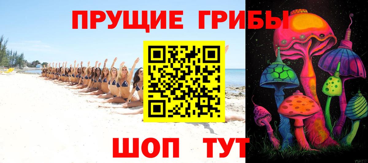 Псилоцибиновые грибы Psilocybe Нефтеюганск